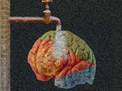 Brainwashing _clip_image001.jpg